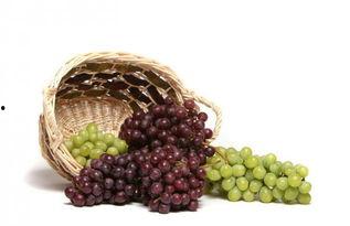 娱乐吃瓜酱吃葡萄,娱乐吃瓜酱带你品味葡萄的甜蜜与酸涩