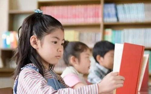 娱乐吃瓜假小子免费阅读