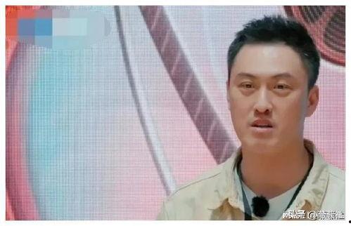 娱乐圈谁最吃瓜排行榜,揭秘谁是瓜王